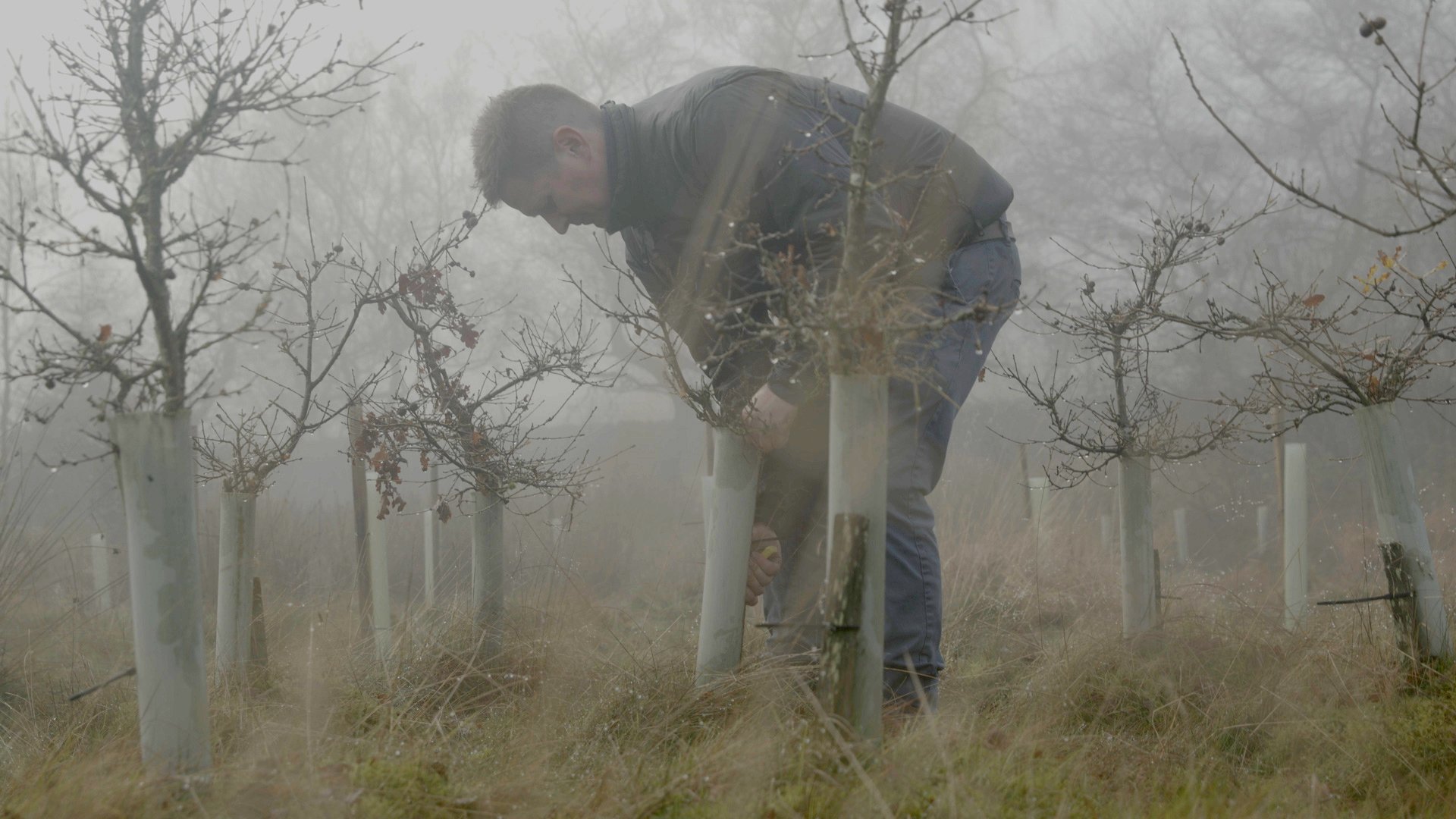 Macclesfield Forest tree planting December 2022.jpg