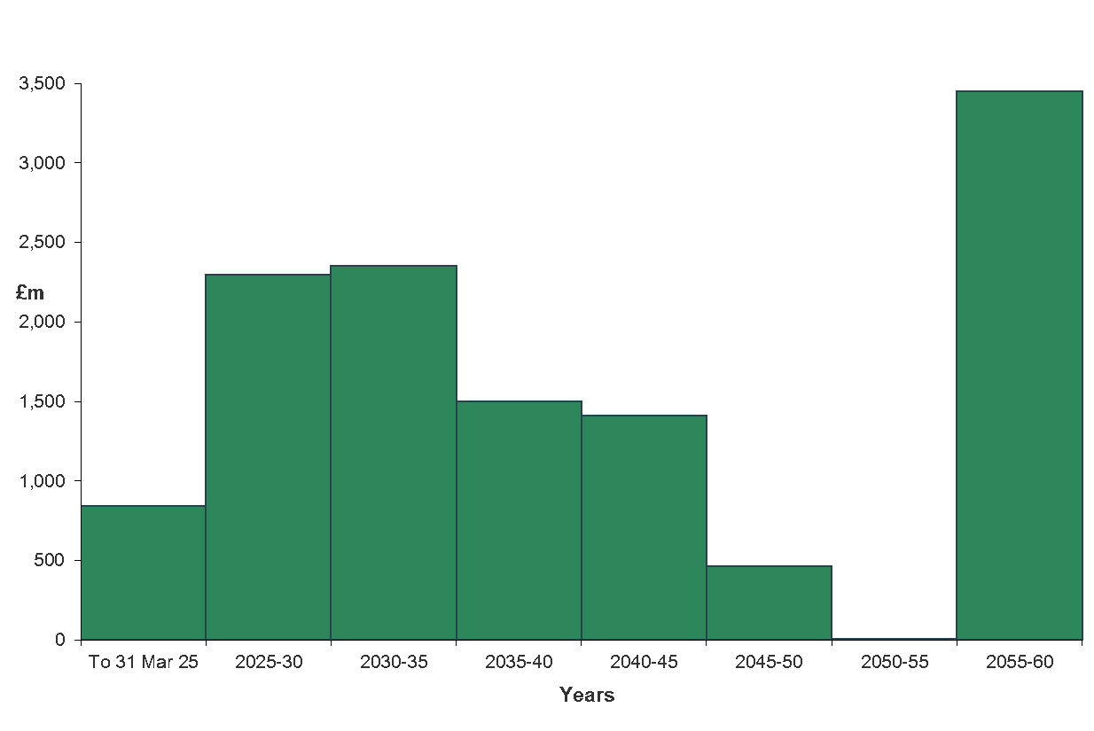 long term debt profile 31stmay.png