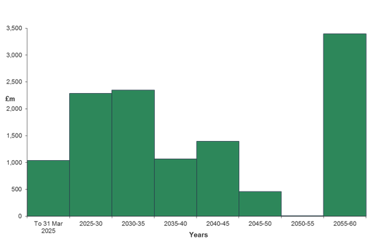 Debt maturity profile chart