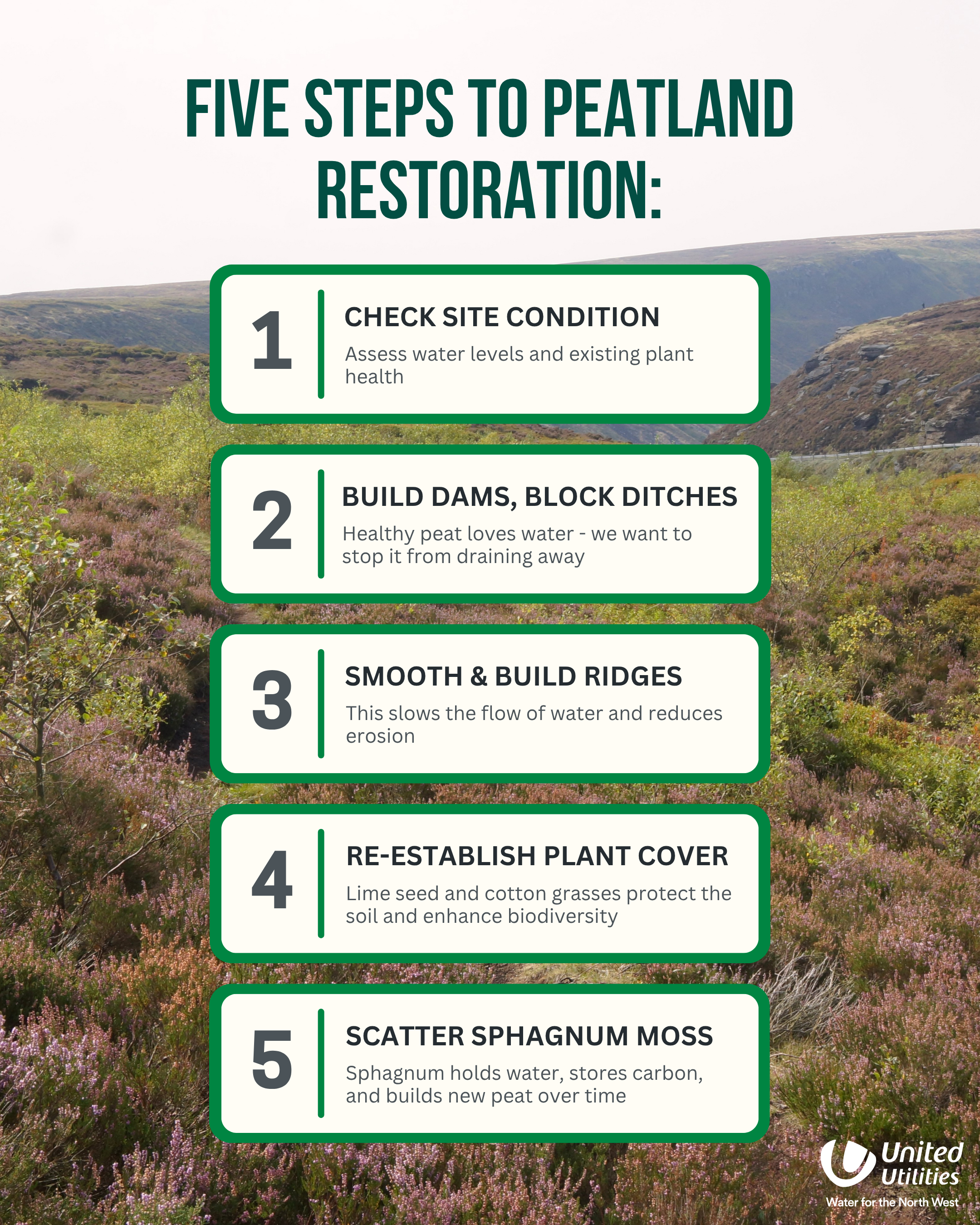 Five steps to peatland restoration. 1. Check Site Condition - Assess water levels and existing plant health. 2. Build Dams, Block Ditches - Healthy peat loves water. We want to stop it from draining away. 3. Smooth & Build Ridges - This slows the flow of water and reduces erosion. 4. Re-Establish Plant Cover - Line seed and cotton grasses protect the soil and enhance biodiversity. 5. Scatter Sphagnum Moss. Sphagnum holds water, stores carbon, and builds new peat over time