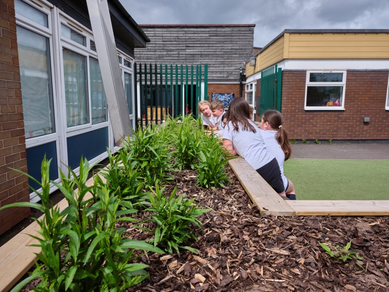 School garden