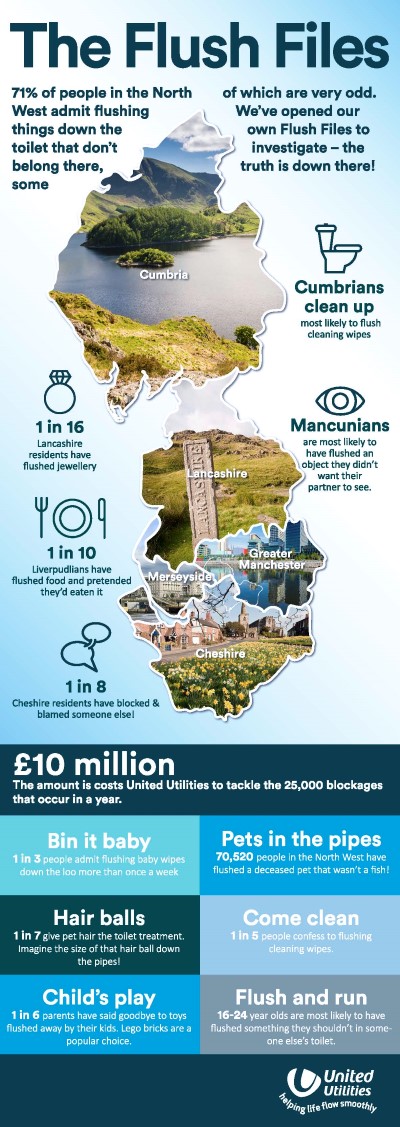 Picture of flushing statistics