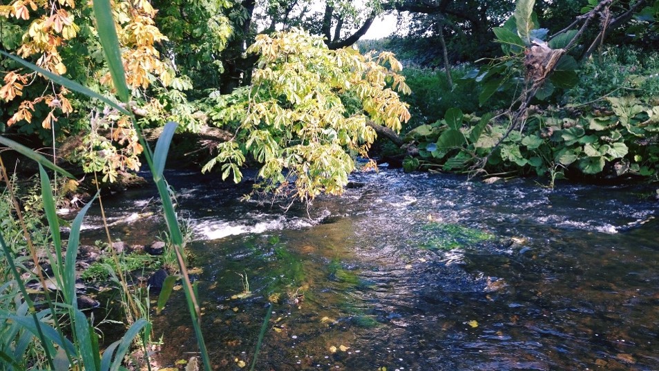 Main River Petteril