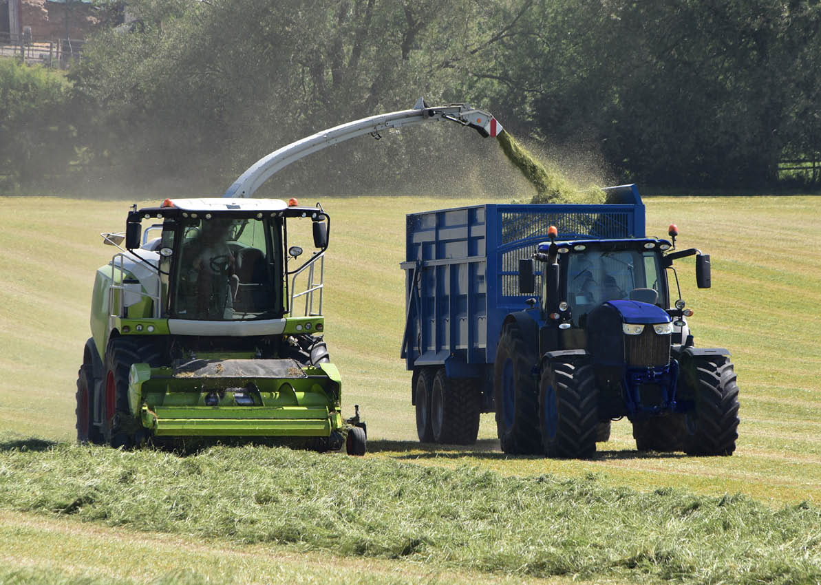 Farming 