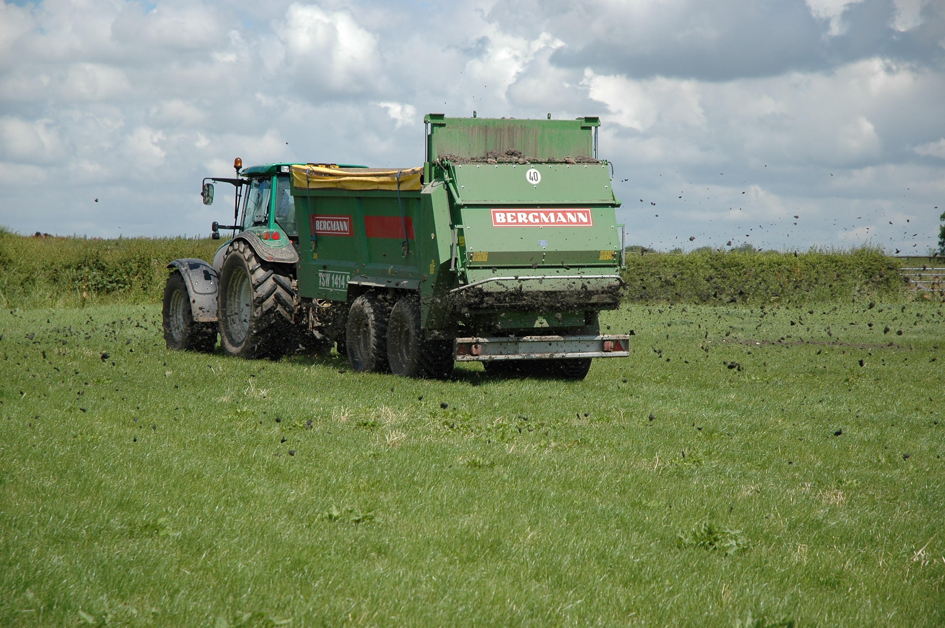 Mowing the lawn