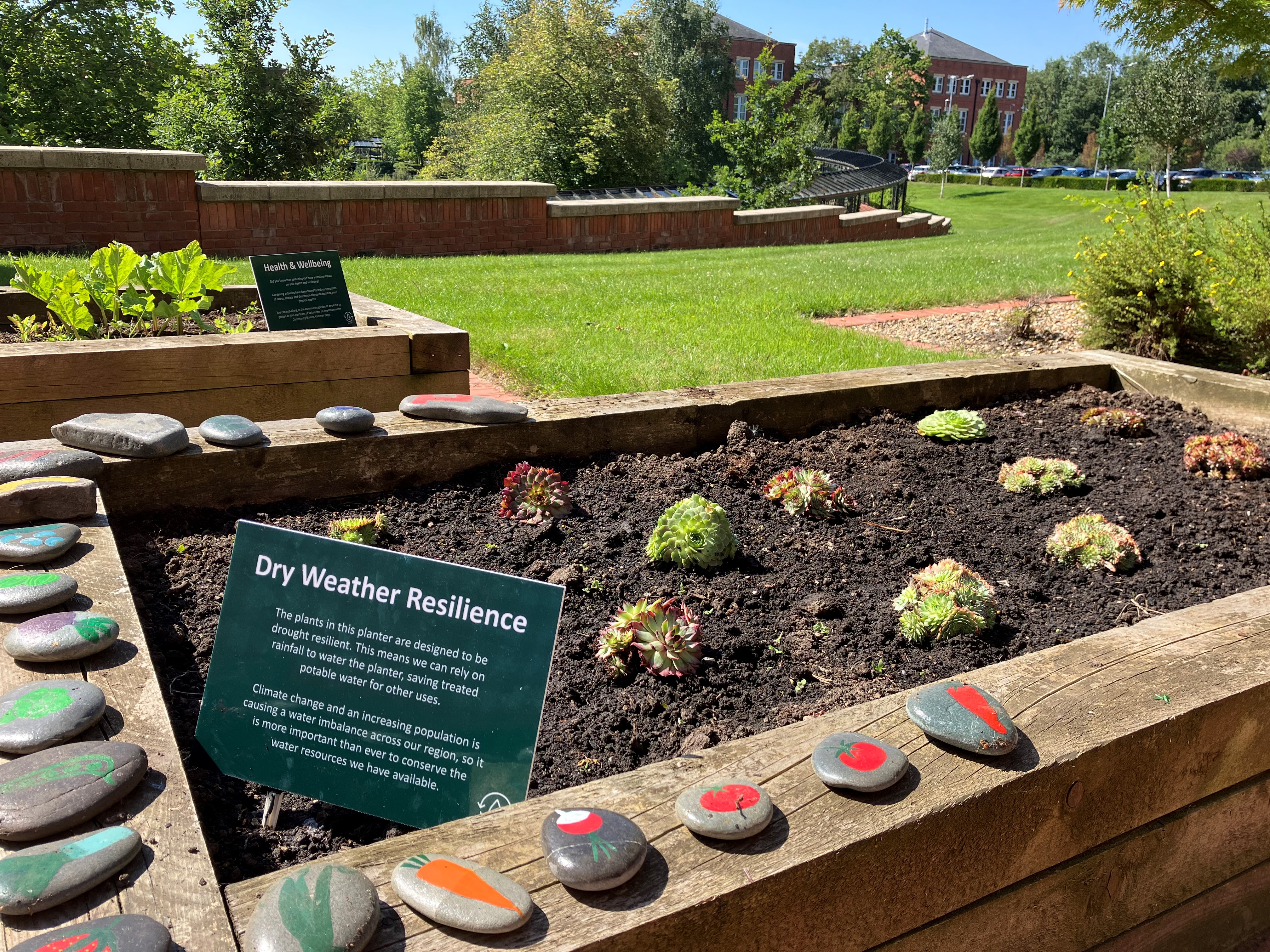 Dry weather planter