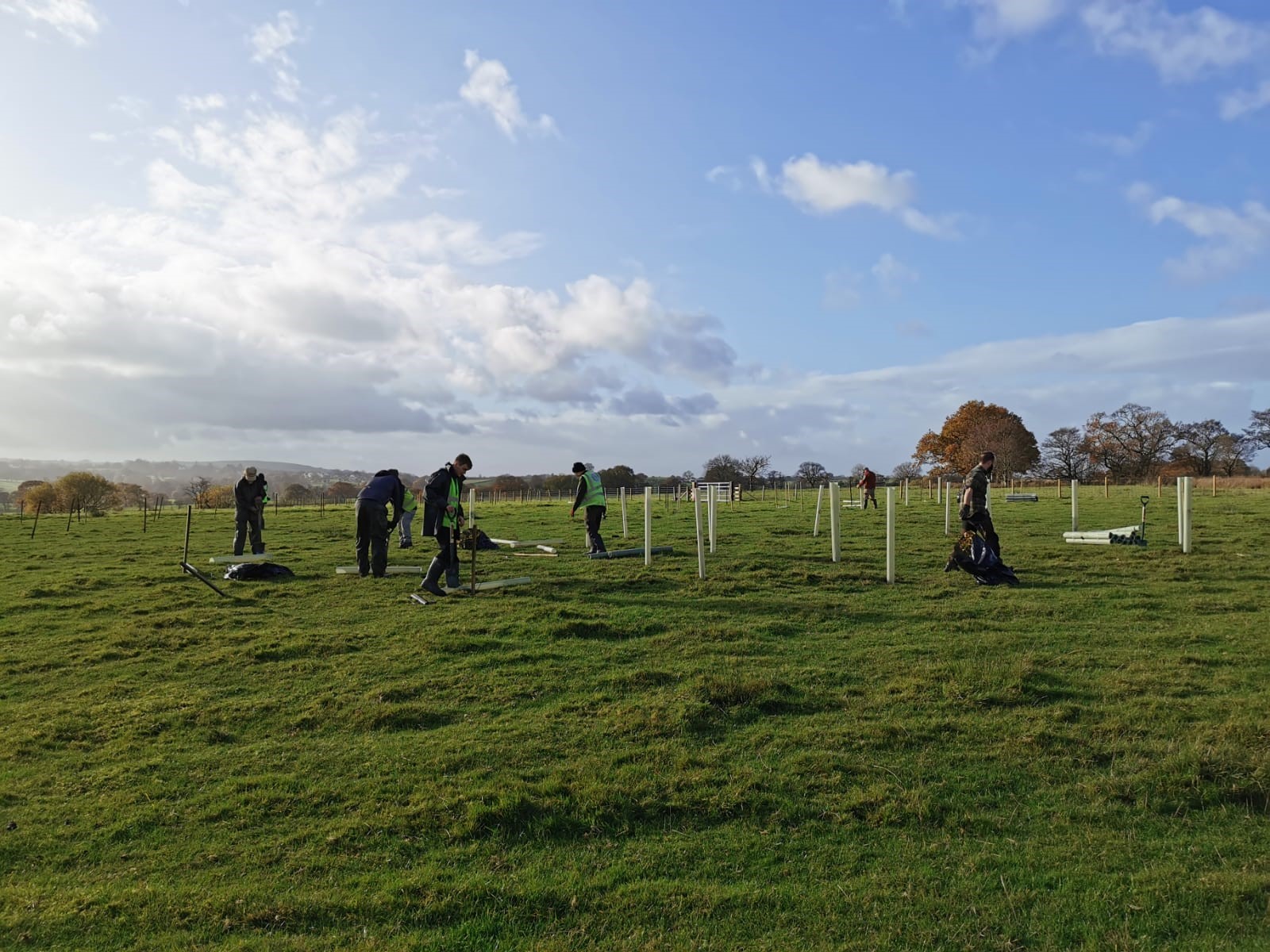 Tree planting