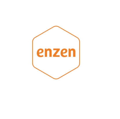 Enzen logo
