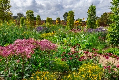 RHS Bridgewater Paradise Garden