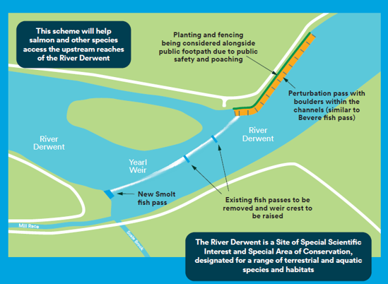 Diagram of next improvement project