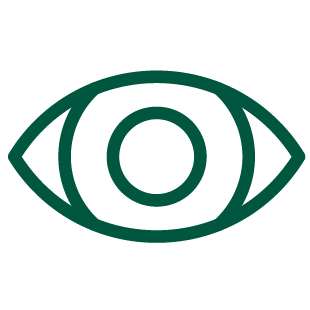 Eye icon