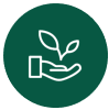 Nurturing sapling icon