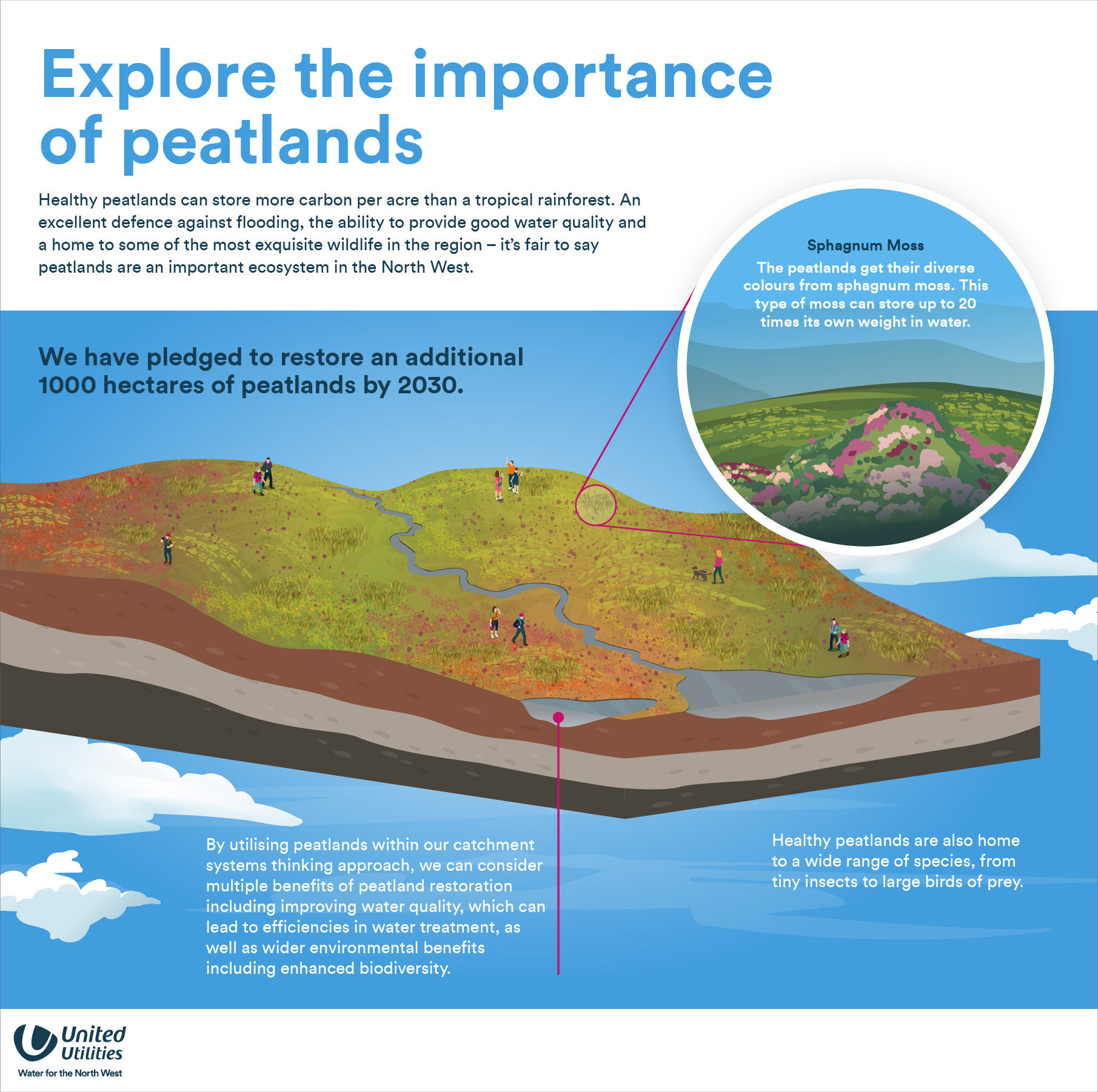 Peatlands Infographic
