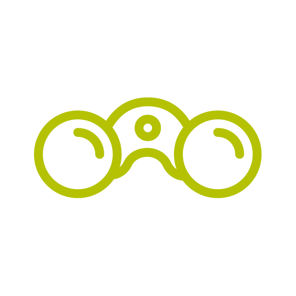 Binoculars icon 