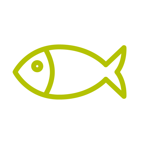 Fish icon