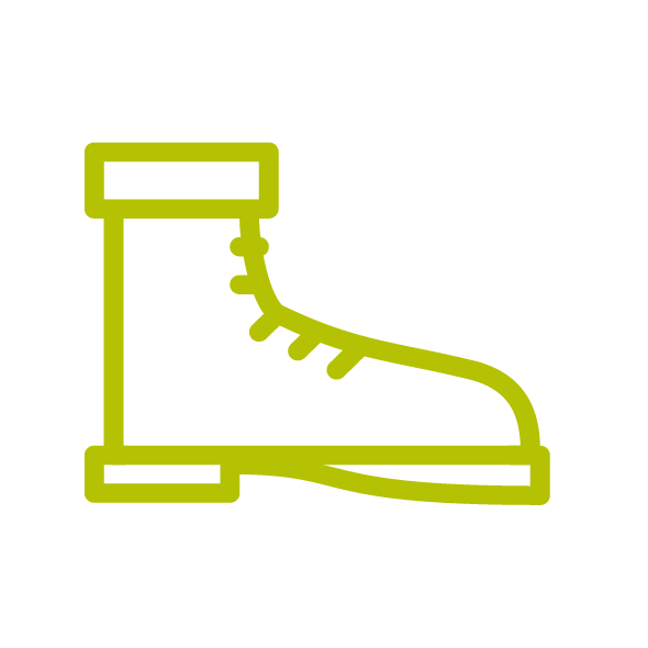Walking shoes icon