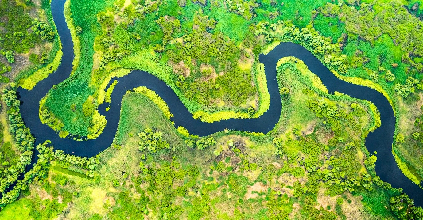 River Meander 