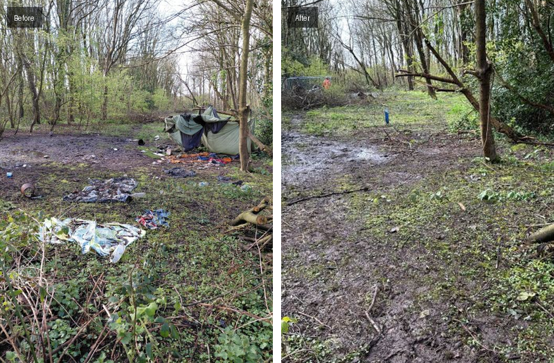Broadwater Wood before/after