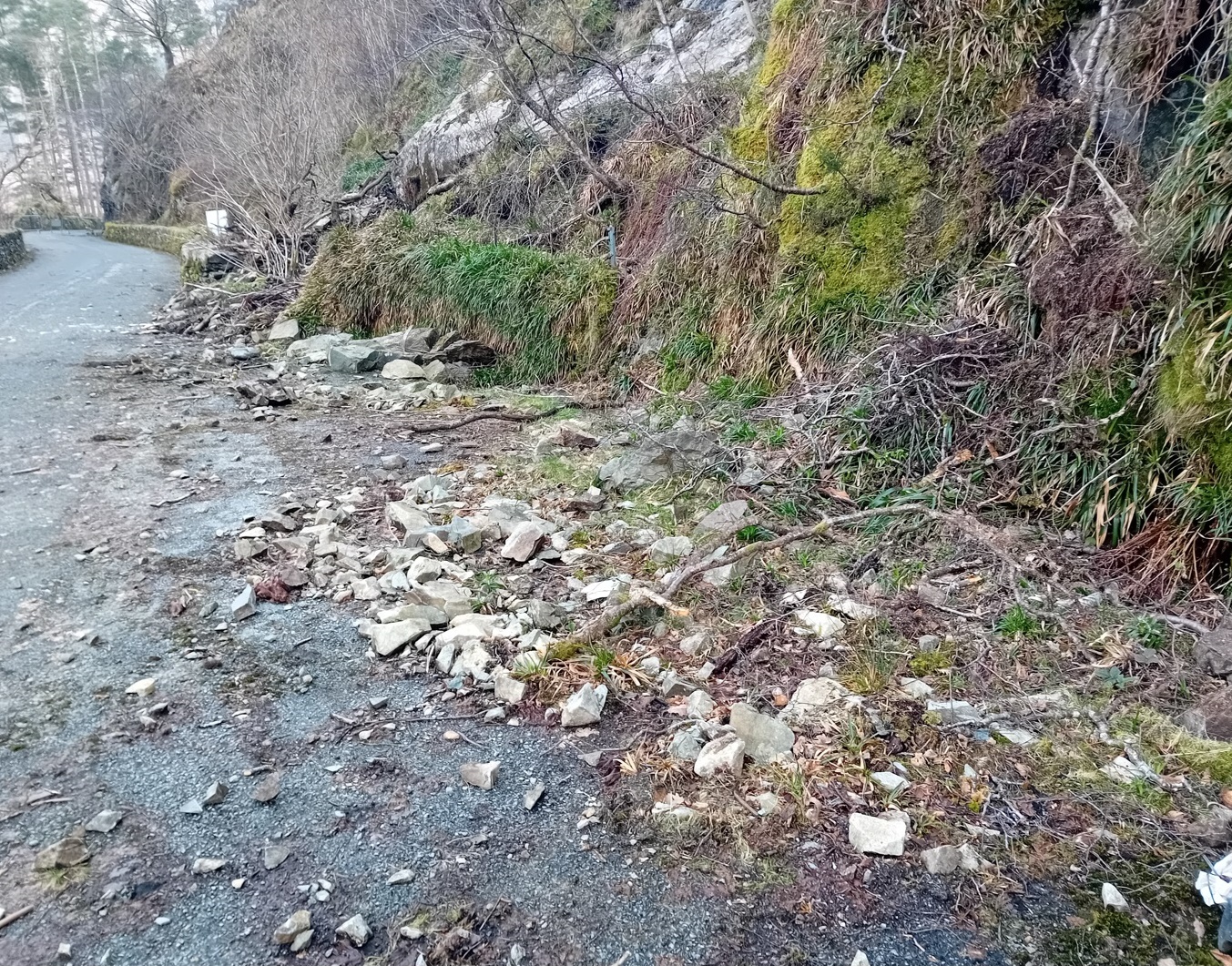 Thirlmere scaling - image 1 