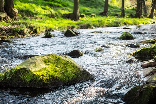 image of a river