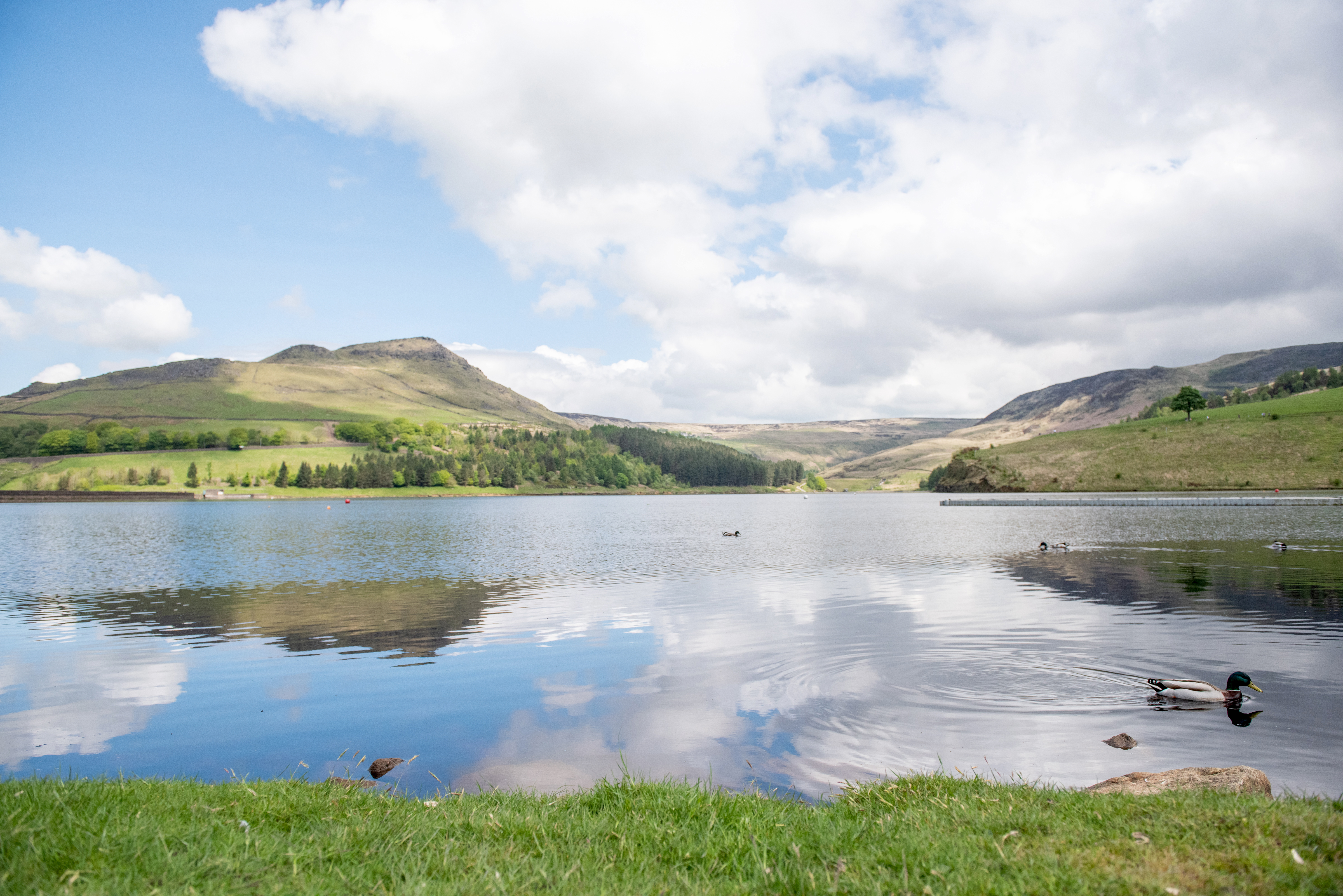 Image of a reservoir